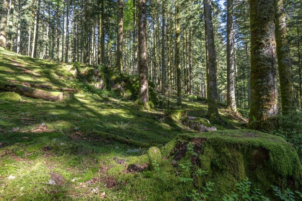 Cosy & Paisible En Pleine Nature - Refuge Idyllique Pour 5p